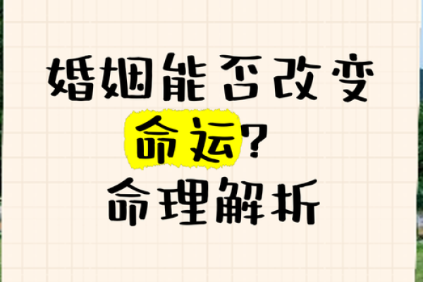 亥月命理中的颠覆性秘密：改变命运的最佳时机