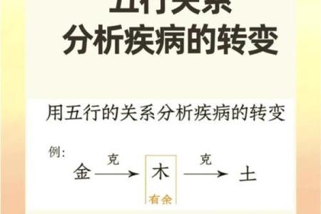 性格解析新视角:五行格局中的生活智慧