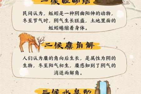 秋冬交替的农历十月一节日文化