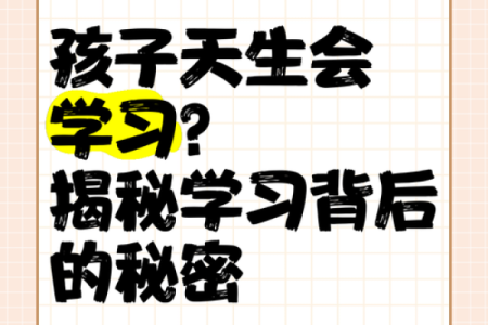 岚的五行误区大揭秘:反而让性格更强大的秘密法则