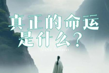 揭开命运的面纱：命理天机中的误区，你是否也中了？