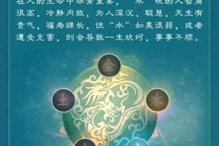 性格解析新视角：林五行如何影响你的五行格局