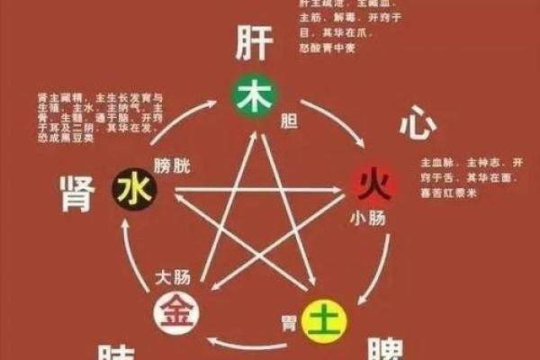 性格解析大揭秘：五行元素教你认识自己，避免误区