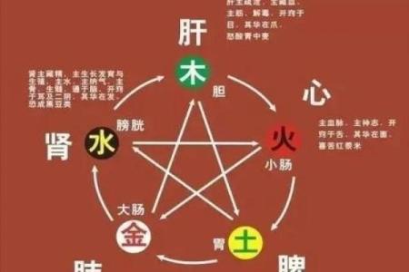 性格解析大揭秘：五行元素教你认识自己，避免误区
