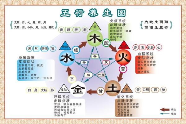 仲五行格局：揭秘你的性格如何改变命运？