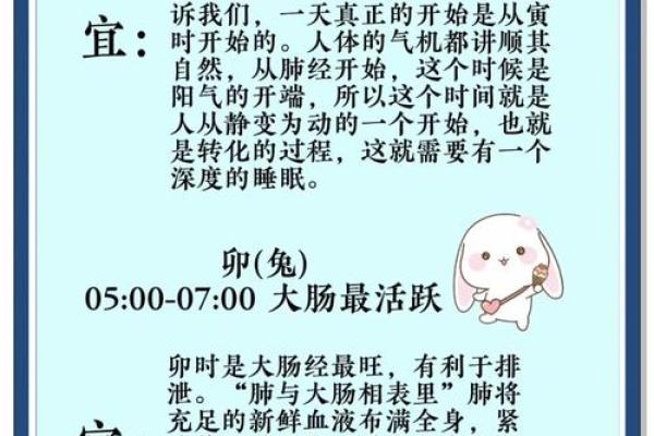如何借助天文现象调整作息与养生