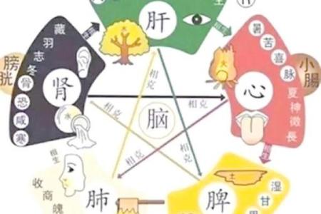 五行格局揭秘：你的性格如何影响你的运势