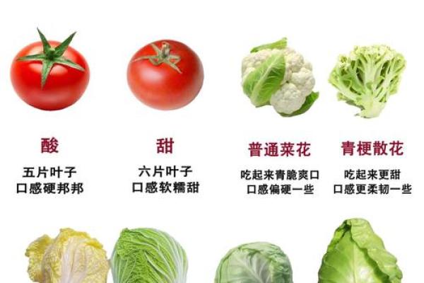 蔬菜五行搭配指南：性格解析，改变你的健康格局