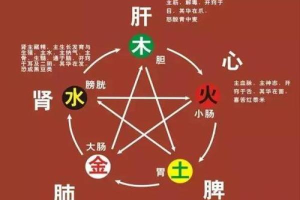 五行格局揭秘：如何根据五行仓库布局优化你的家居风水？