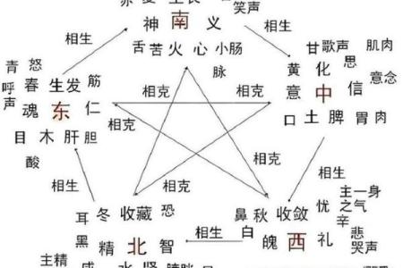 五行格局误区大揭秘:舒字属木还是金?反而揭示你的真实性格特质
