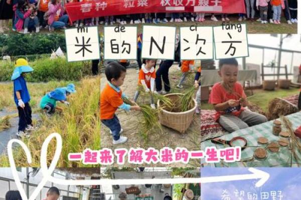 秋收时节的十月一：从农耕文化到现代节庆