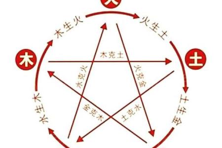 五行格局误区大揭秘：凰的真正性格，你了解多少？