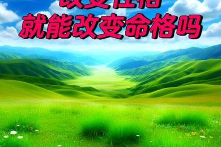 五行格局与命运：如何通过性格解析改变人生轨迹