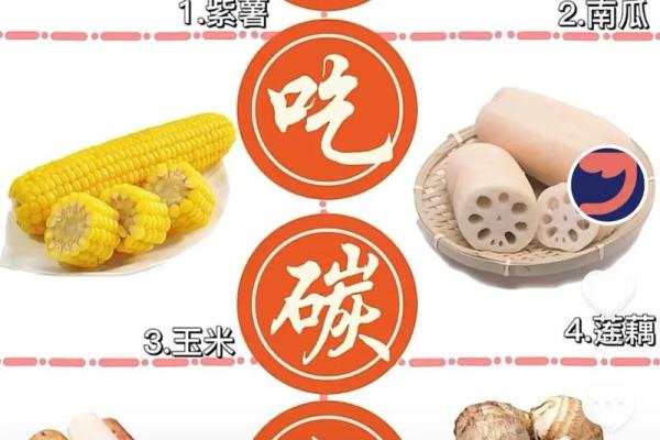 如何根据日安排饮食养生计划