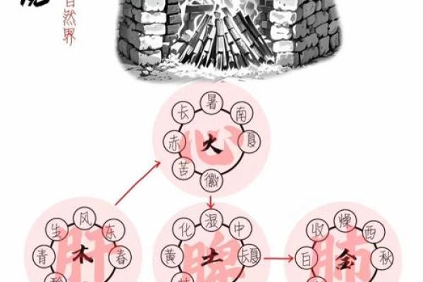 五行格局升级指南：告别固步自封，你的性格如何转型成功？