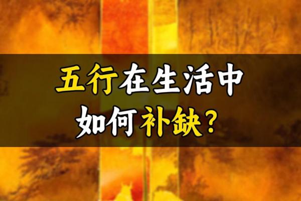 鲁五行反而更成功？揭秘五行性格的隐藏优势