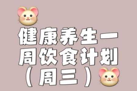 如何根据日安排饮食养生计划