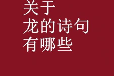 探索龙文化在节日中的深远影响
