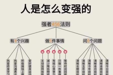 五行格局重塑:揭秘如何通过性格调整改变命运轨迹