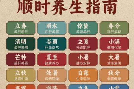 探秘日本节日：从农耕到养生的文化传承