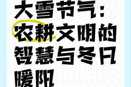 十二月农耕传统：冬季农业休养与来年准备