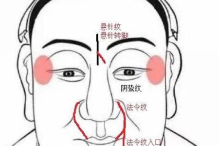 乐基儿八字命理揭秘：她的命运密码隐藏了什么真相？