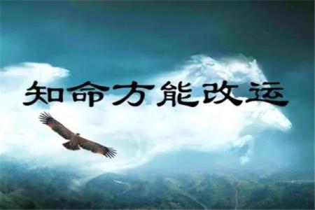 颠覆传统观念，如何通过八字改变命运走向