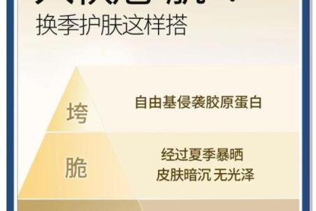 秋冬交替时节的养生技巧