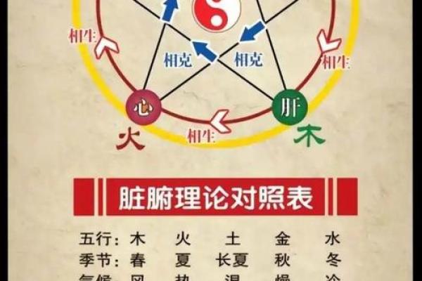 五行格局中的鹤之韵：性格解析新视角，如何改变你的命运轨迹？