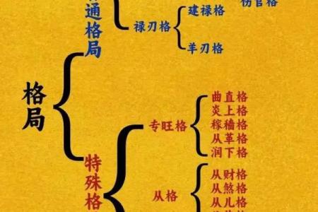 风水与八字命理的暗藏玄机，颠覆你对命运的所有认知