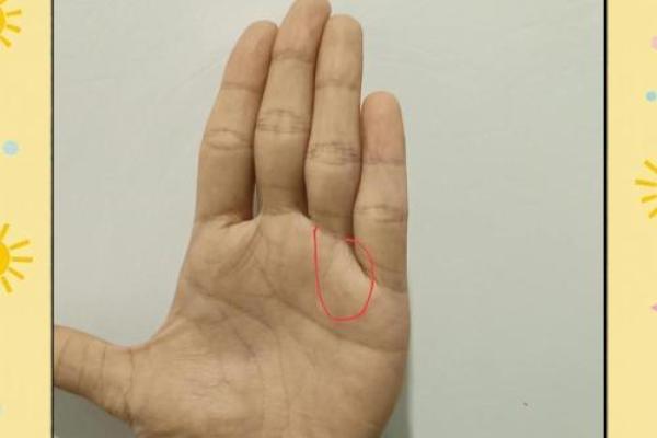 颠覆常规！马克龙八字中的命运密码竟是…