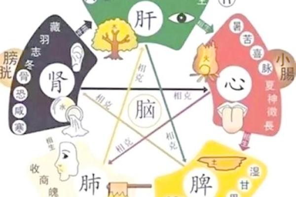 五行格局性格解析：你住几楼，就知你什么性格？