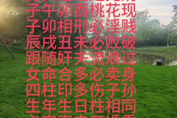 发现命运的暗藏玄机：如何通过八字命理改变你的未来
