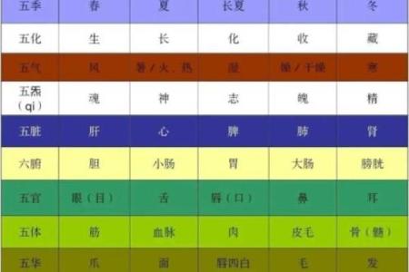探索京族传统节日中的天文智慧与时间认知