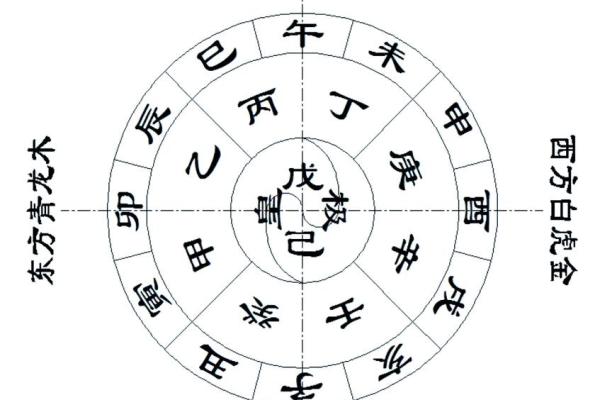 颠覆传统命理观念，风集八字中的命运密码揭示
