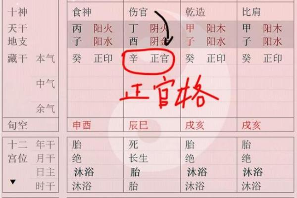 五行格局颠覆传统，揭秘化妆品的神秘性格解析