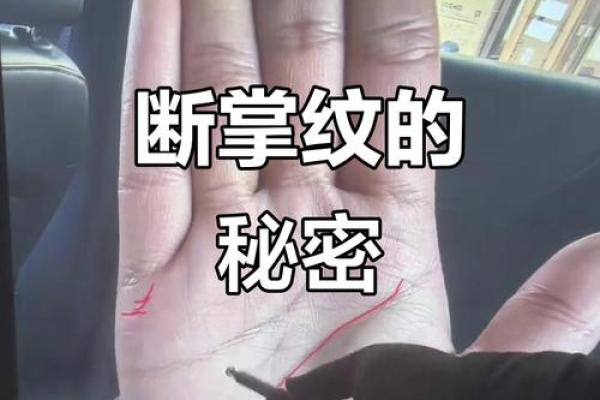 神秘羲字五行格局，揭秘你的性格特质与命运轨迹