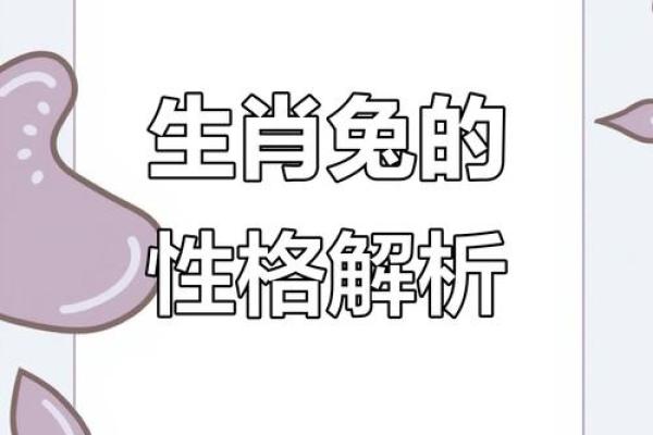 神秘羲字五行格局，揭秘你的性格特质与命运轨迹
