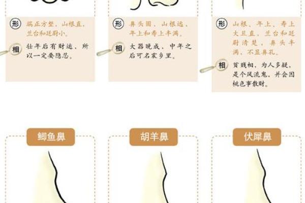 阿娇命理面相解密：你的命运密码藏在这些细节里