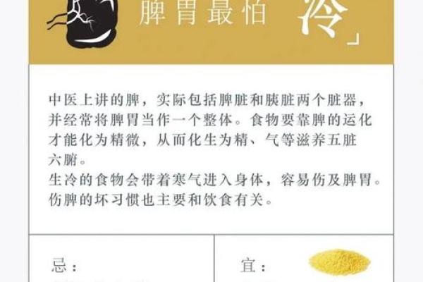 五行性格解析：揭秘你的饮食误区与调养之道