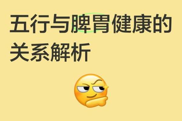五行性格解析：揭秘你的饮食误区与调养之道