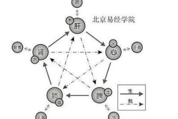 瑞的五行属水？揭秘性格重塑的神秘法则