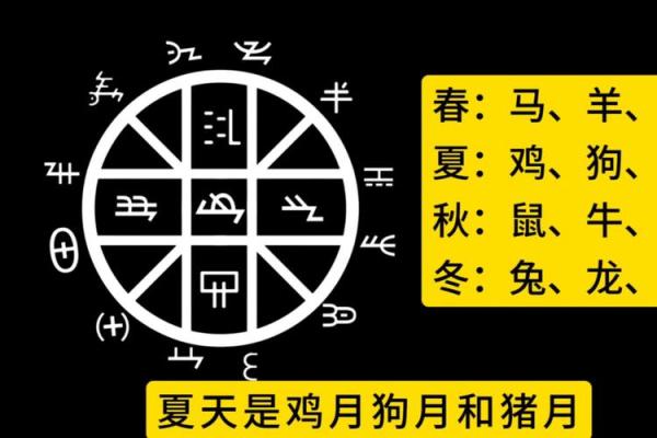 黑色节日如何影响我们对天文现象的认知