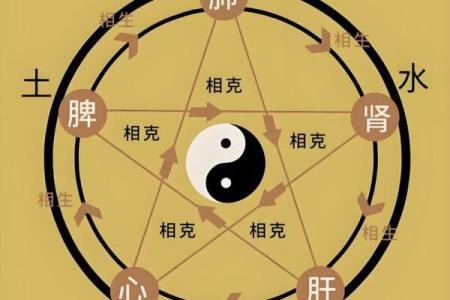 五行误区大揭秘：缺木缺水，反而成就非凡人生？