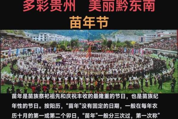深入苗族传统节日探秘自然与人文的和谐
