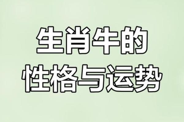 五行格局深度解析：85年牛年出生者的性格与如何改变命运