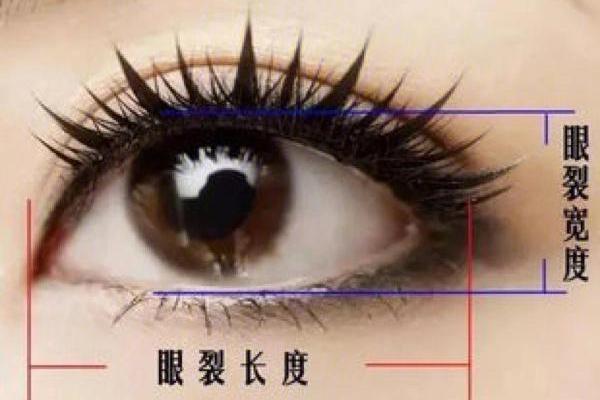 割双眼皮能改变命运密码吗？解密命理中的暗藏玄机