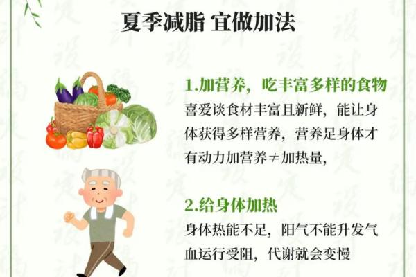 十一月养生推荐：顺应季节变化的健康之道