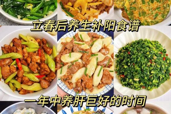适合春季养生的食材推荐与调理建议