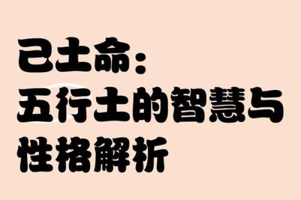性格解析：五行智慧教你如何读懂他人